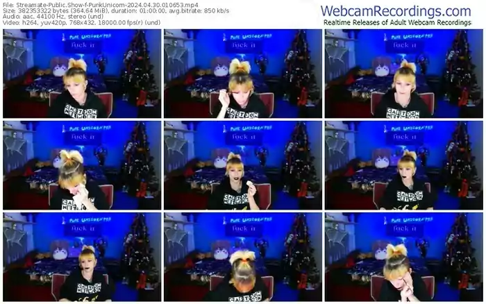 2024/04/30/streamate-punkunicorn-01-06-53