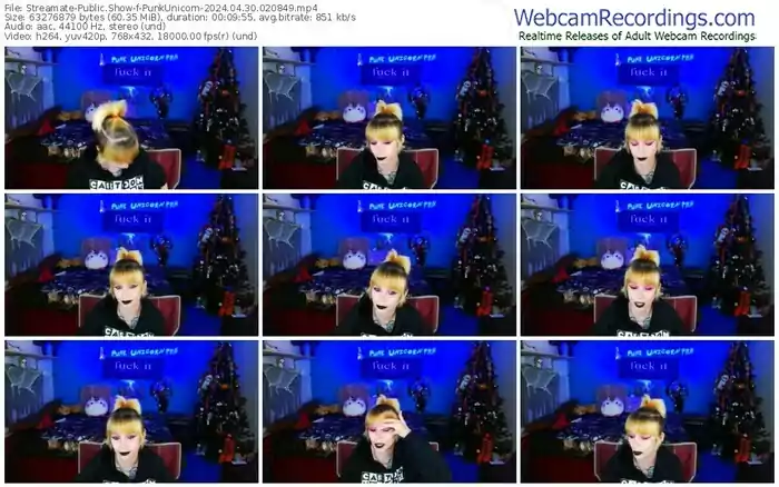 2024/04/30/streamate-punkunicorn-02-08-49