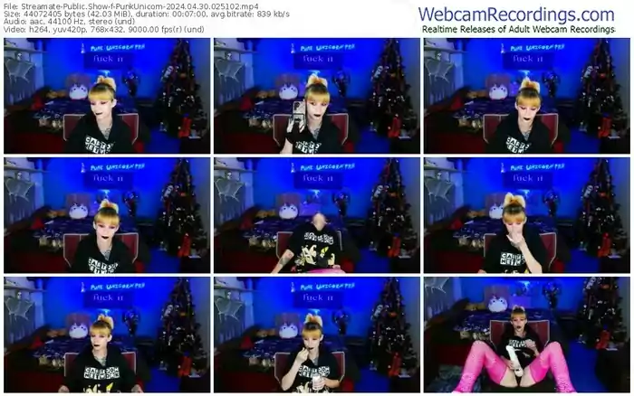 2024/04/30/streamate-punkunicorn-02-51-02