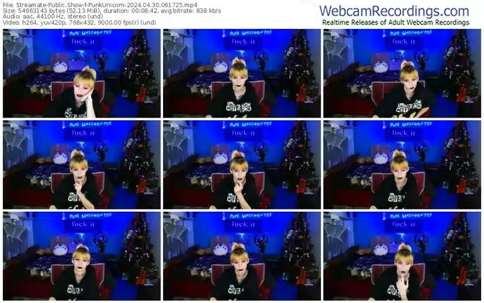 2024/04/30/streamate-punkunicorn-06-17-25