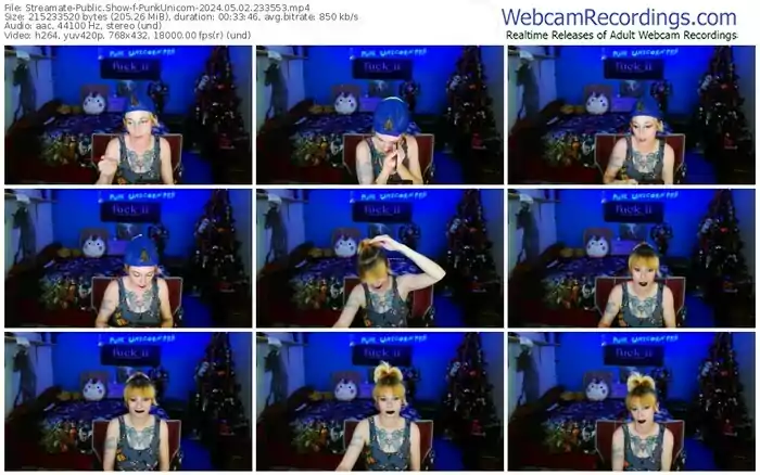 2024/05/02/streamate-punkunicorn-23-35-53