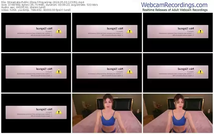 2024/05/03/streamate-freyagray-12-33-51