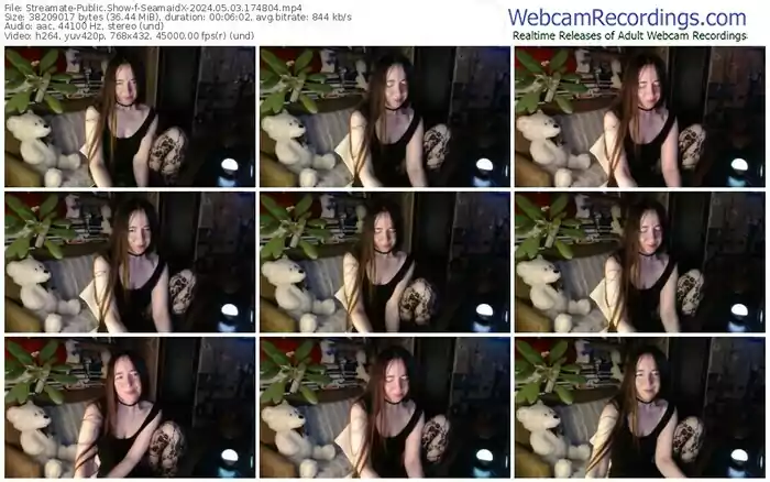2024/05/03/streamate-seamaidx-17-48-04