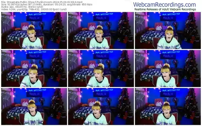 2024/05/04/streamate-punkunicorn-01-30-14