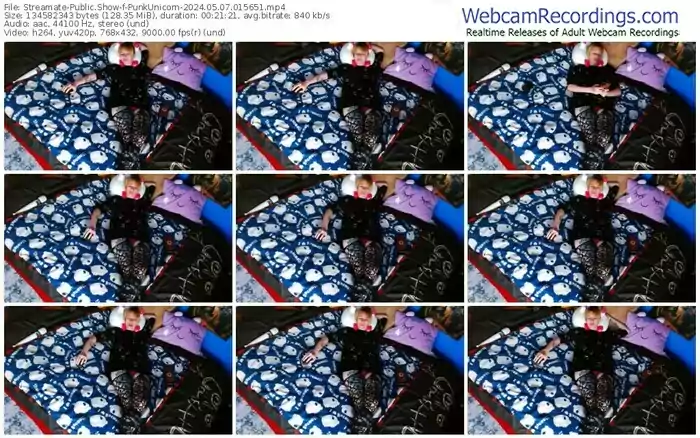 2024/05/07/streamate-punkunicorn-01-56-51