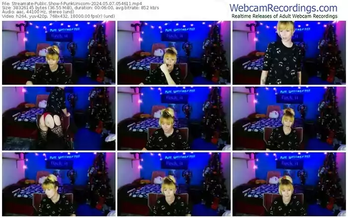 2024/05/07/streamate-punkunicorn-05-46-11