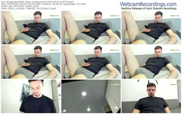 2024/05/07/streamate-waynenort-10-07-52