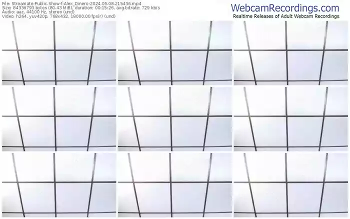 2024/05/08/streamate-alex_dinero-21-54-36