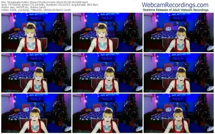 2024/05/08/streamate-punkunicorn-05-20-48