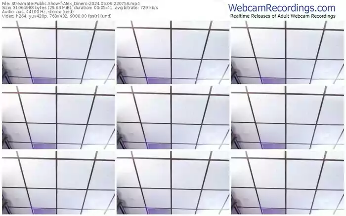 2024/05/09/streamate-alex_dinero-22-07-59