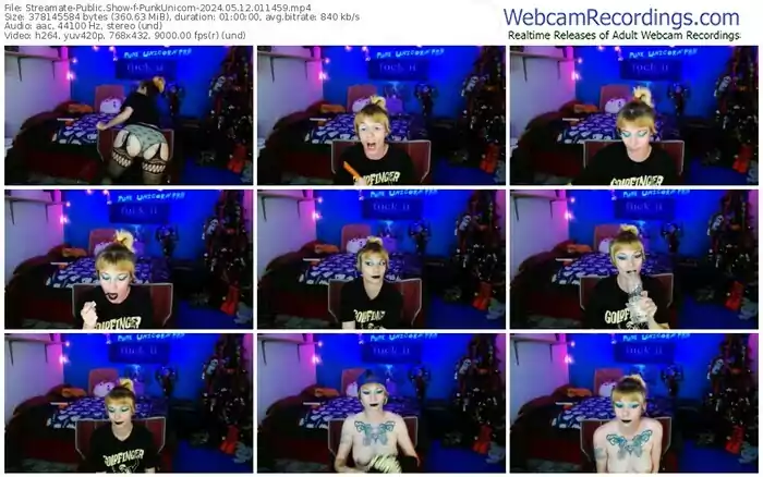 2024/05/12/streamate-punkunicorn-01-14-59