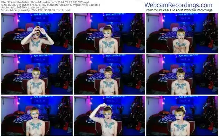 2024/05/12/streamate-punkunicorn-02-15-52