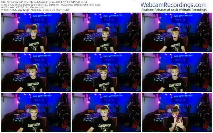 2024/05/12/streamate-punkunicorn-04-50-48