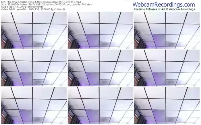 2024/05/13/streamate-alex_dinero-22-13-12