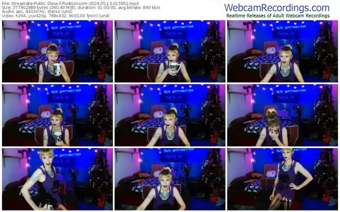 2024/05/13/streamate-punkunicorn-01-55-52