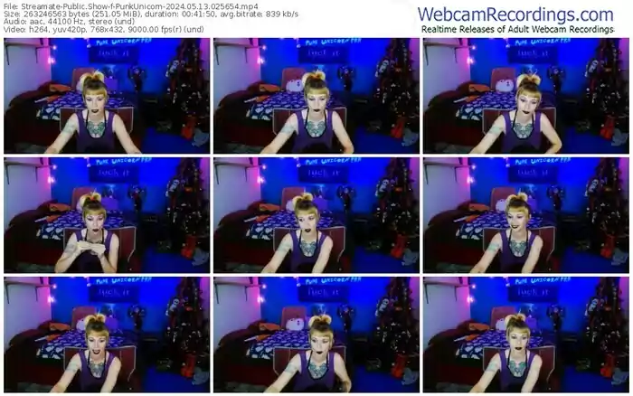 2024/05/13/streamate-punkunicorn-02-56-54