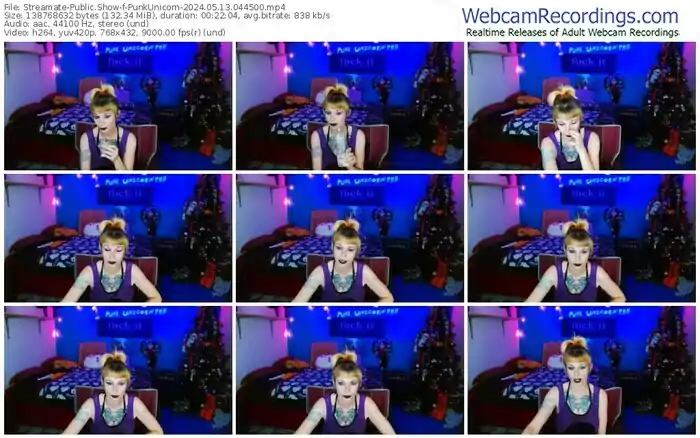 2024/05/13/streamate-punkunicorn-04-45-00