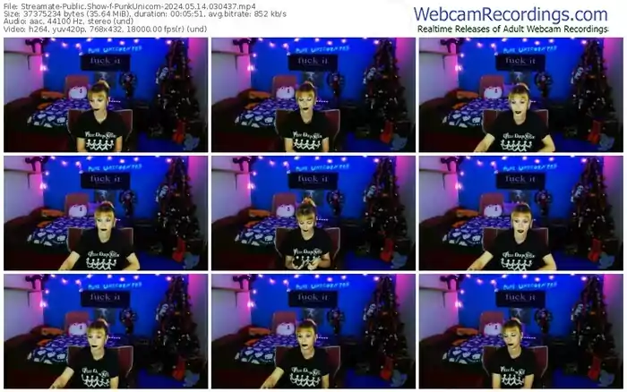 2024/05/14/streamate-punkunicorn-03-04-37