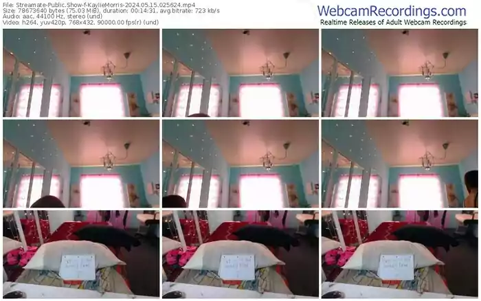 2024/05/15/streamate-kayliemorris-02-56-24