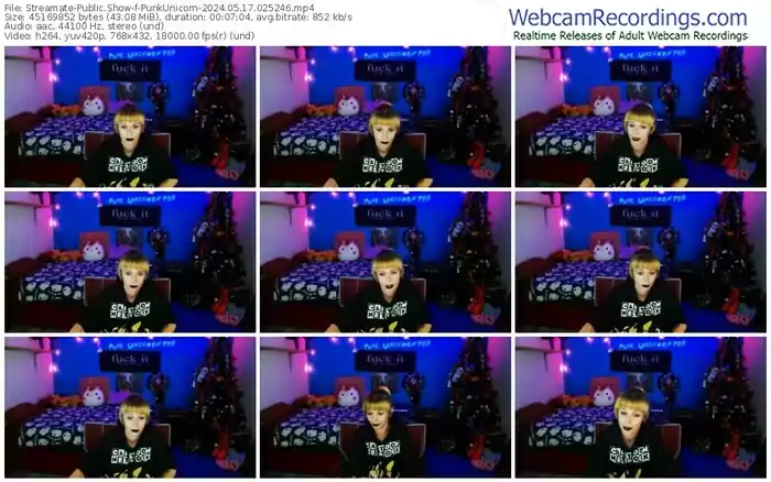 2024/05/17/streamate-punkunicorn-02-52-46