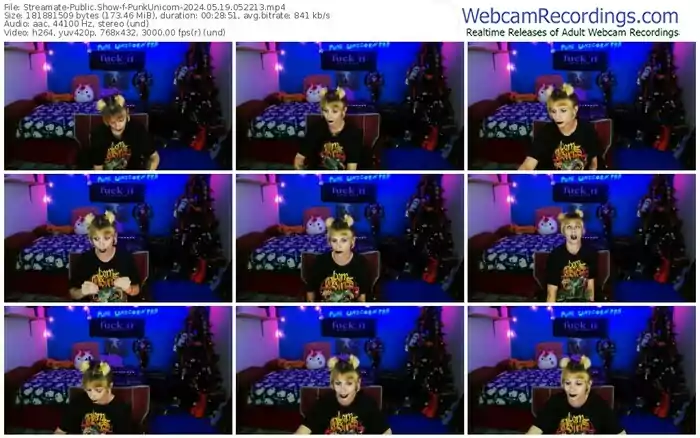 2024/05/19/streamate-punkunicorn-05-22-13