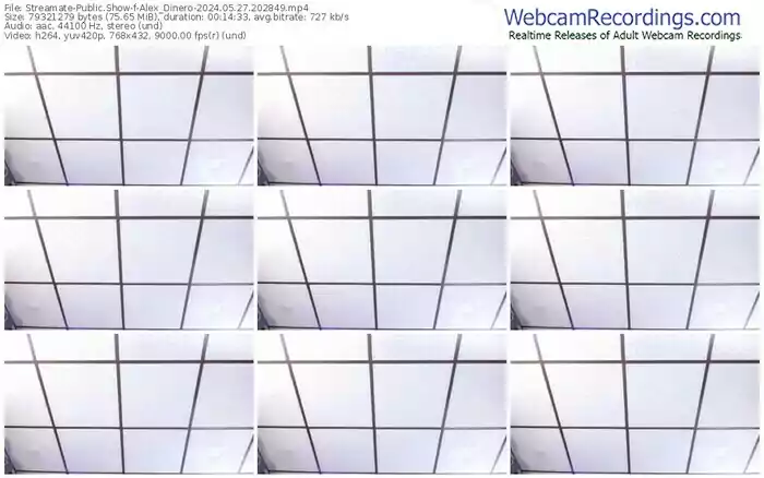 2024/05/27/streamate-alex_dinero-20-28-49