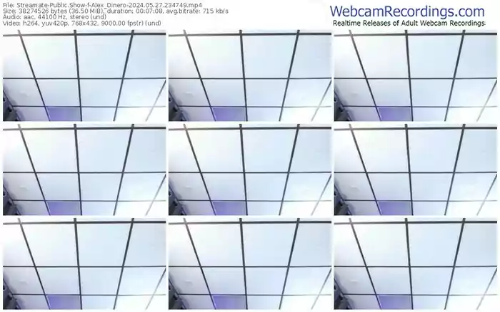 2024/05/27/streamate-alex_dinero-23-47-49