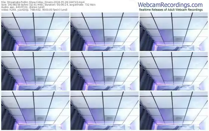 2024/05/28/streamate-alex_dinero-18-47-43