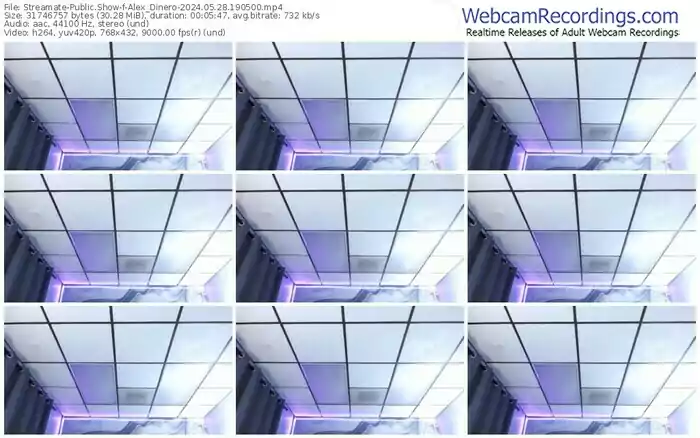 2024/05/28/streamate-alex_dinero-19-05-00