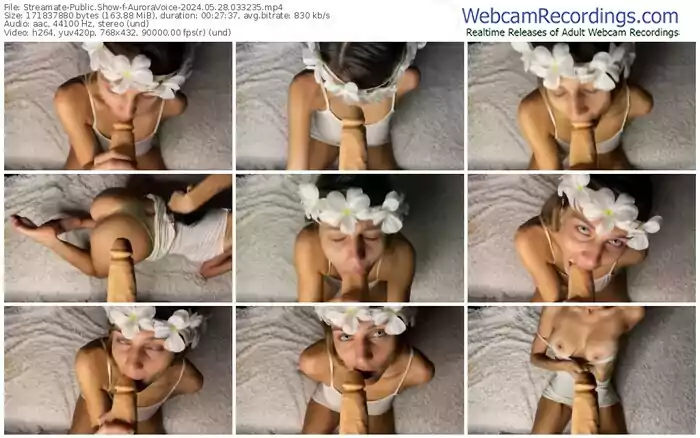 2024/05/28/streamate-auroravoice-03-32-35