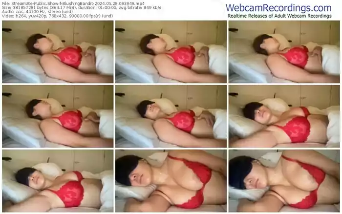 2024/05/28/streamate-blushingbandit-09-39-49