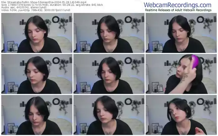 2024/05/28/streamate-noreendia-14-10-49