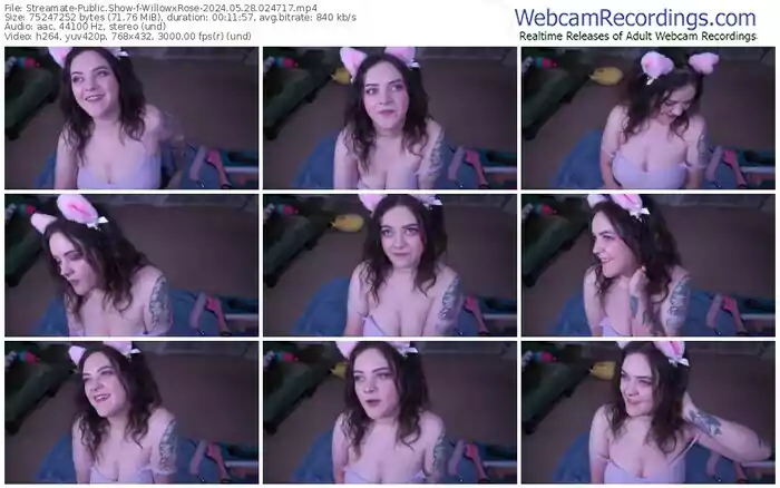 2024/05/28/streamate-willowxrose-02-47-17