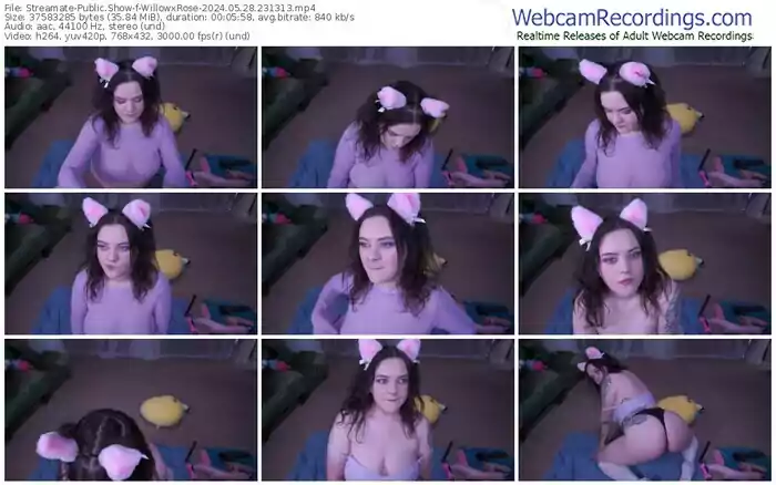 2024/05/28/streamate-willowxrose-23-13-13