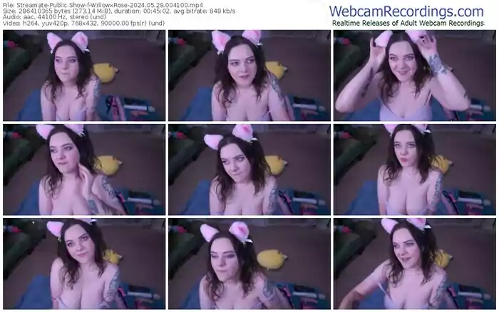 2024/05/29/streamate-willowxrose-00-41-00
