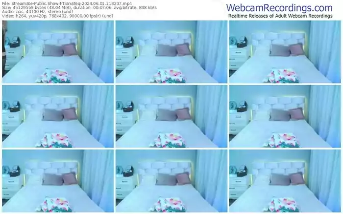 2024/06/01/streamate-tianateq-11-32-37