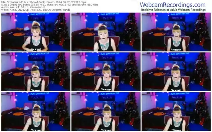 2024/06/02/streamate-punkunicorn-02-23-13