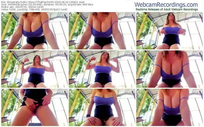 2024/06/02/streamate-theelaysmith-16-58-11