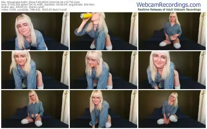 2024/06/04/streamate-allyelliot-15-17-52