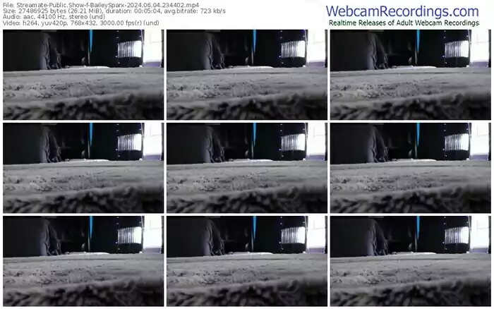 2024/06/04/streamate-baileysparx-23-44-02