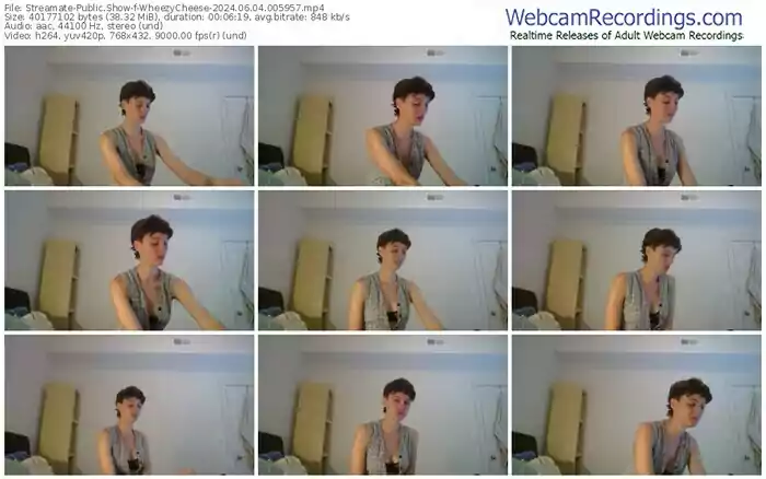 2024/06/04/streamate-wheezycheese-00-59-57