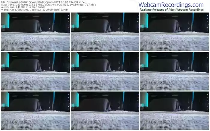 2024/06/07/streamate-baileysparx-23-41-34
