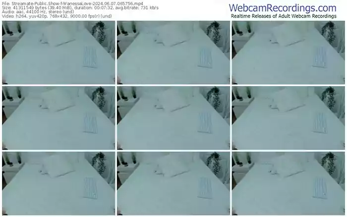 2024/06/07/streamate-wanessalove-06-57-56