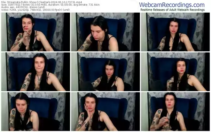 2024/06/10/streamate-cleadark-17-37-31