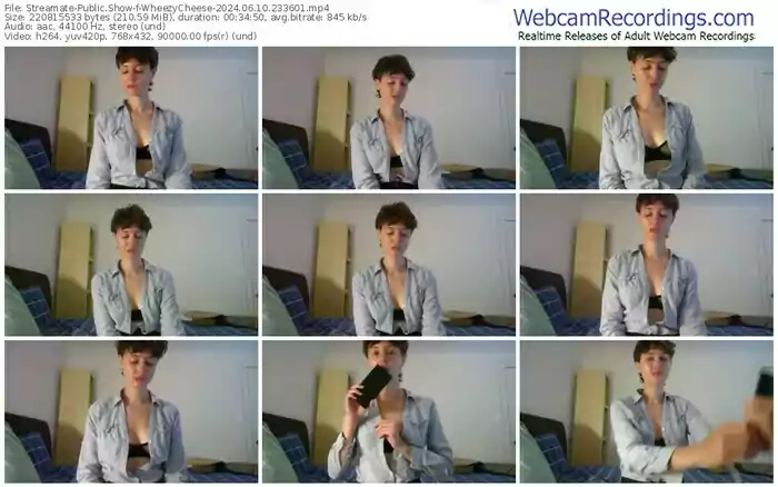 2024/06/10/streamate-wheezycheese-23-36-01