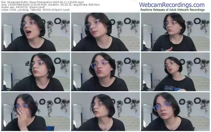 2024/06/11/streamate-noreendia-12-32-05