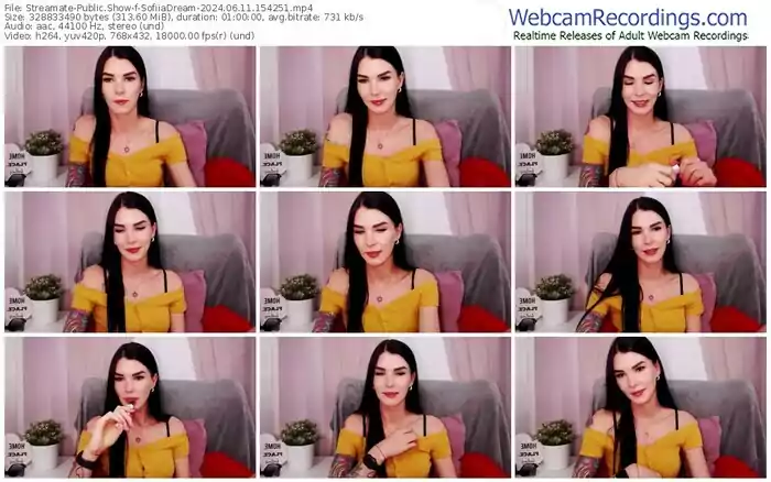 2024/06/11/streamate-sofiiadream-15-42-51