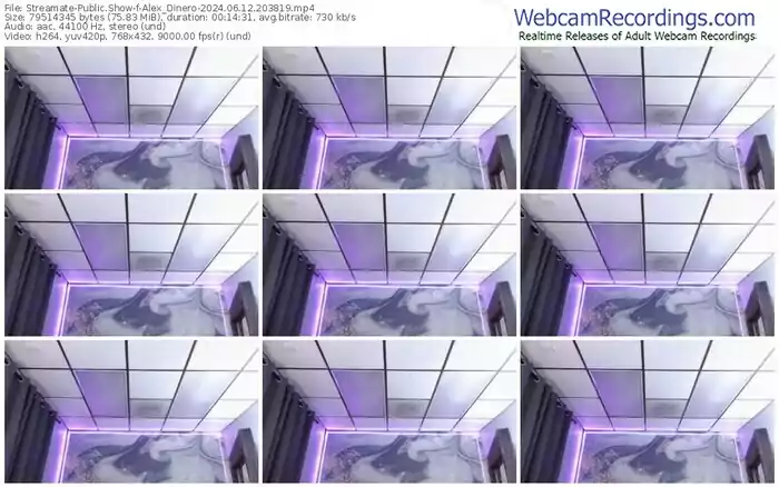 2024/06/12/streamate-alex_dinero-20-38-19