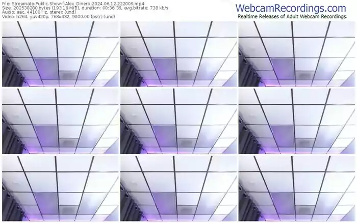 2024/06/12/streamate-alex_dinero-22-20-09