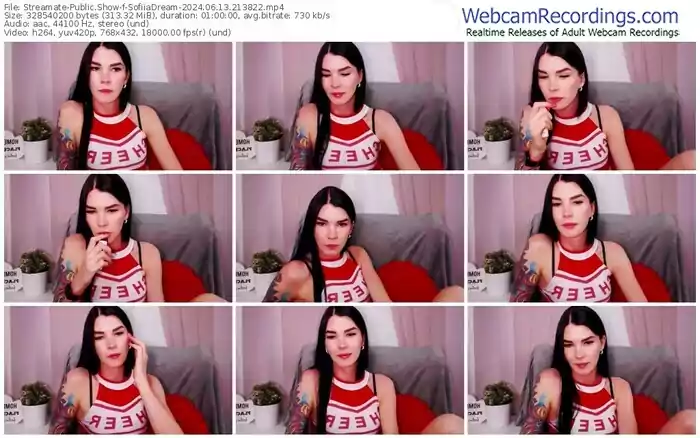 2024/06/13/streamate-sofiiadream-21-38-22